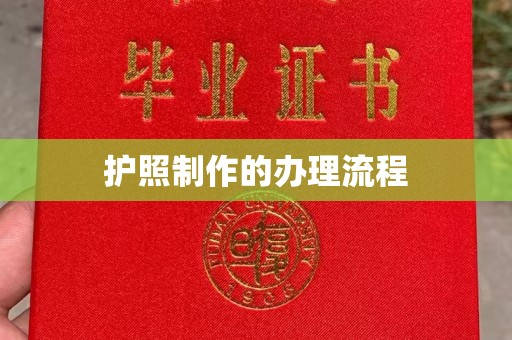 天涯护照制作的办理流程