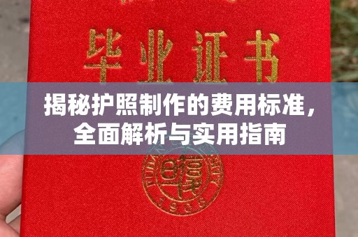 霞山揭秘护照制作的费用标准，全面解析与实用指南